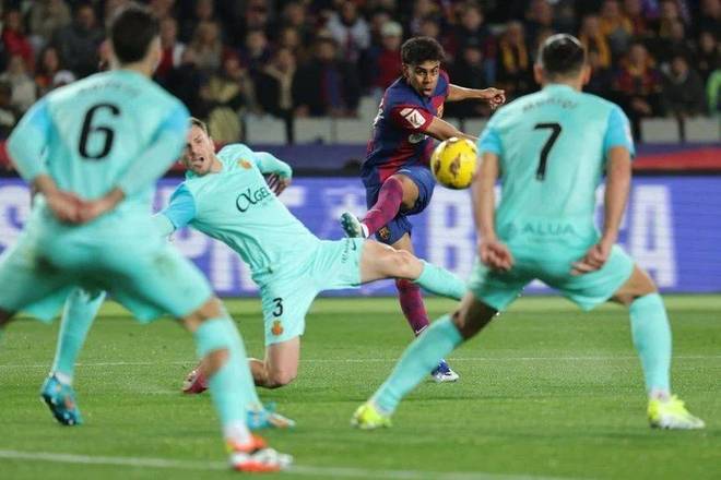 单节21分 单节21分